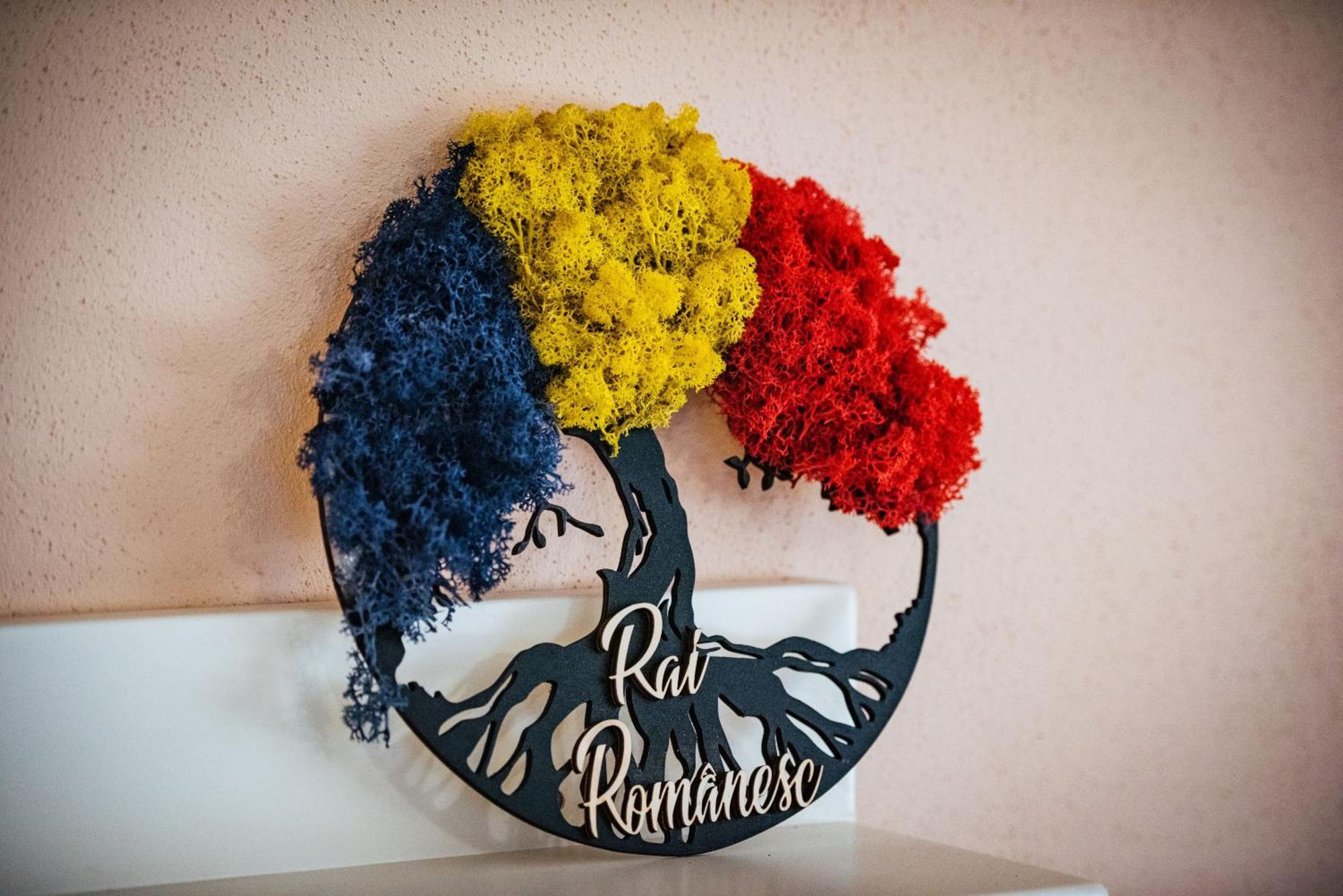 Rai Romanesc Sălişte Zewnętrze zdjęcie